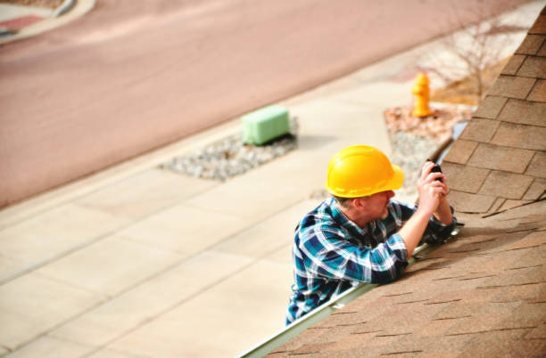 Best Roof Moss and Algae Removal  in Woodsi East, DE