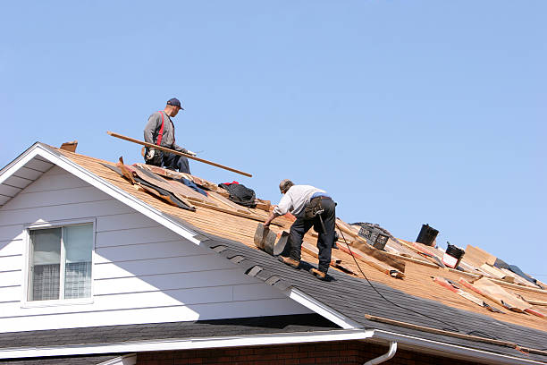 Best Green or Eco-Friendly Roofing Solutions  in Woodsi East, DE